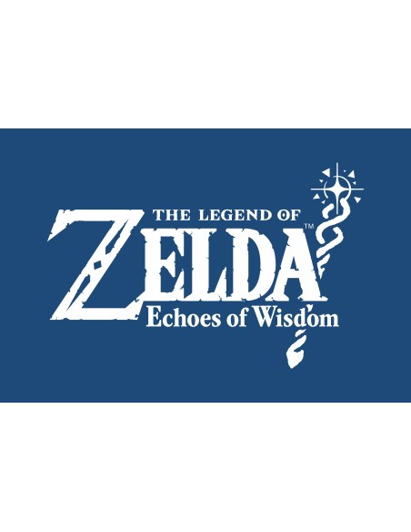 Nintendo The Legend of Zelda  Echoes of Wisdom