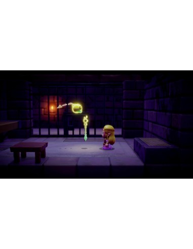 Nintendo The Legend of Zelda  Echoes of Wisdom