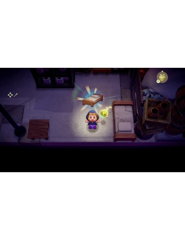 Nintendo The Legend of Zelda  Echoes of Wisdom