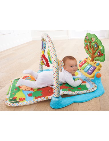 VTech Baby Il giardino incantato