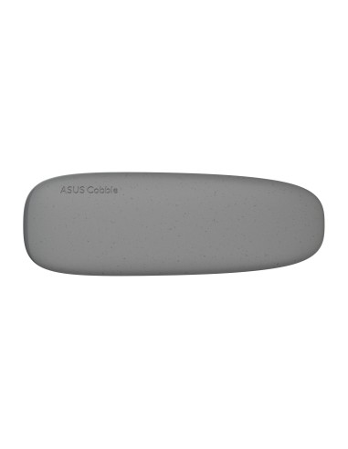 ASUS COBBLE Gray Box esterno SSD Grigio M.2