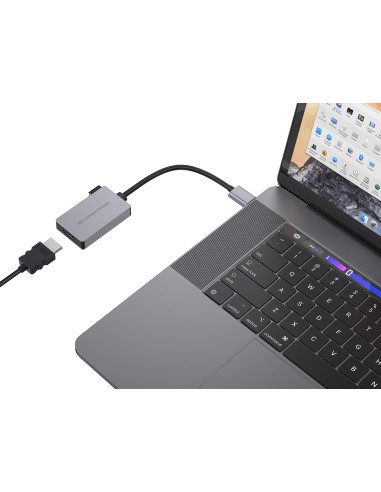 Conceptronic ABBY22G adattatore grafico USB 1920 x 1080 Pixel Grigio