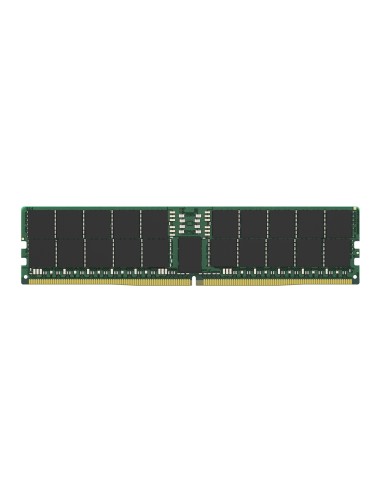 Kingston Technology KSM56R46BD4PMI-96HMI memoria 96 GB 1 x 96 GB DDR5 5600 MT s Data Integrity Check (verifica integrità dati)