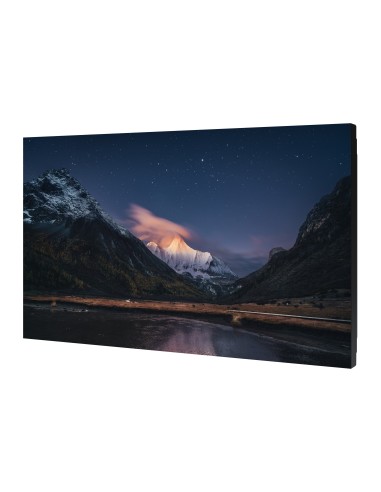 Samsung VM55C-R LCD Interno