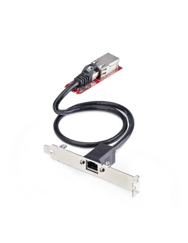 StarTech.com Scheda di Rete M.2 2280 2.5GbE a 1 porta, velocità multi-Gigabit (2.5G 1G 100M 10M), NIC NBASE-T (802.3bz), M.2