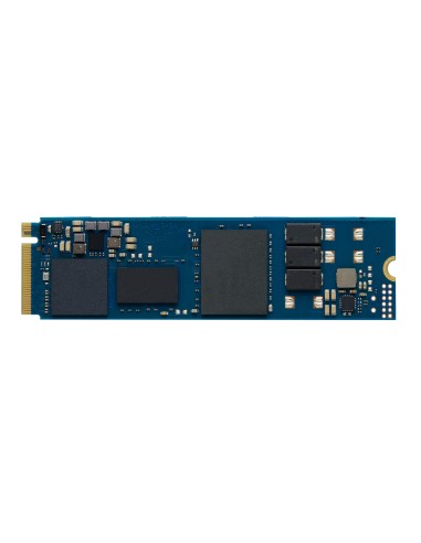 Kingston Technology 240G DC2000B PCIe 4.0 M.2 2280 Enterprise SSD (Senza dissipatore)