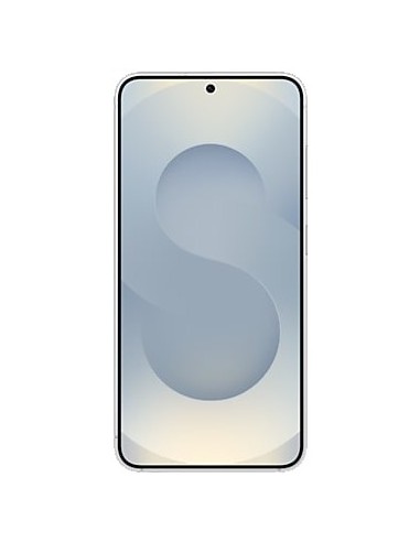 Samsung Galaxy S25 Enterprise Edition 15,8 cm (6.2") Doppia SIM Android 15 5G USB tipo-C 12 GB 256 GB 4000 mAh Argento