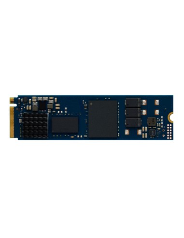 Kingston Technology 960G DC2000B PCIe 4.0 M.2 2280 Enterprise SSD