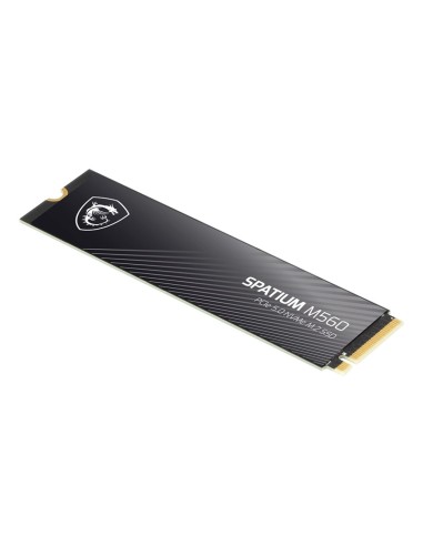 MSI Spatium M560 PCIE 5.0 NVME M.2 2 TB PCI Express 5.0 3D NAND