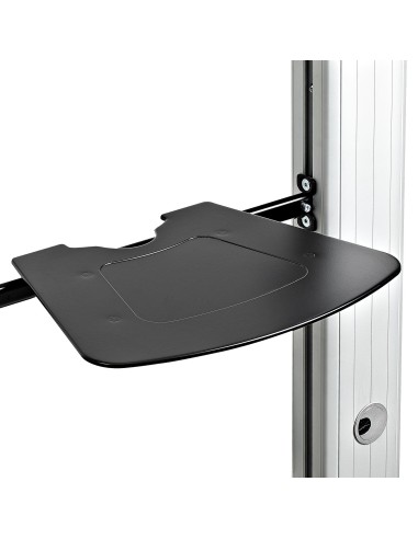 StarTech.com STNDMTVDUO Supporto TV a parete 152,4 cm (60") Nero, Argento