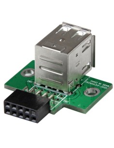StarTech.com Adattatore USB a 2 porte per Scheda Madre