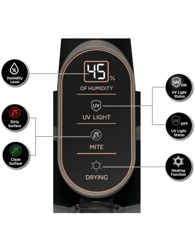 Hoover HMC520UV 011 aspirapolvere senza filo Nero, Metallico Senza sacchetto