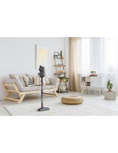 Hoover HF1, Aspirapolvere senza filo, Nero Rosso, 0,9L, Senza sacchetto 2