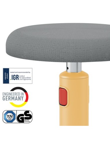 Leitz Ergo Cosy Active Seduta imbottita