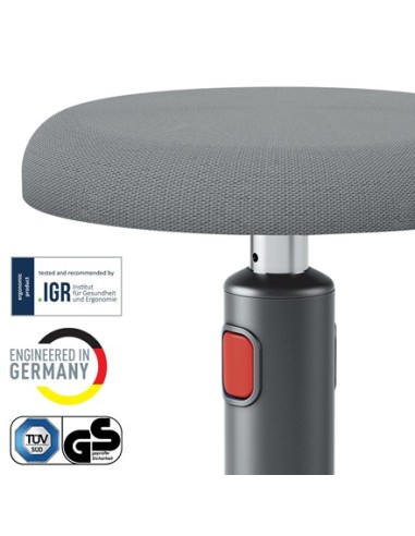 Leitz Ergo Cosy Active Seduta imbottita