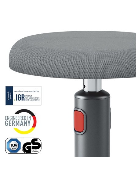 Leitz Ergo Cosy Active Seduta imbottita