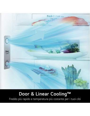 LG GTB744BMBED Frigorifero doppia porta, Classe E, 506L, Porte in vetro, Door Cooling,Nero