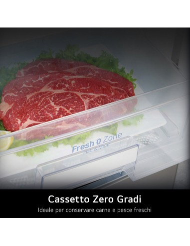 LG GTB744BMBED Frigorifero doppia porta, Classe E, 506L, Porte in vetro, Door Cooling,Nero