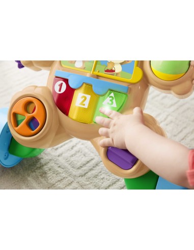 Fisher-Price Cagnolino Primi Passi - Ridi & Impara, Edizione multilingue, giocattolo musicale per camminare Giocattolo per