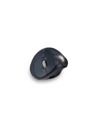 Kensington Pro Fit Ergo TB550 mouse Ufficio Mano destra RF senza fili + Bluetooth Trackball 1600 DPI