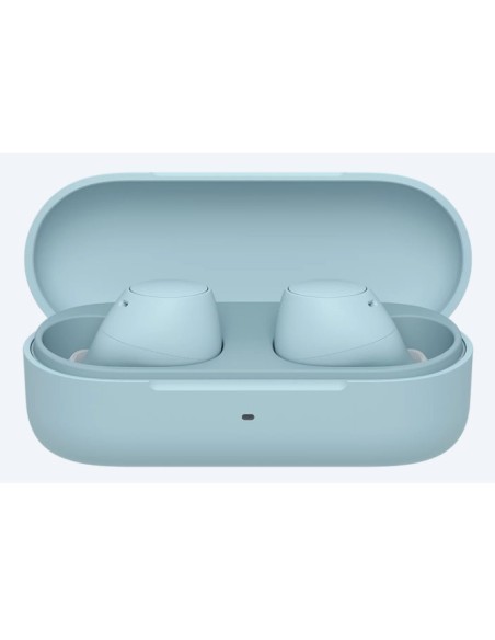 Sony WF-C510 Auricolare True Wireless Stereo (TWS) In-ear Chiamate Musica Sport Tutti i giorni Bluetooth Blu