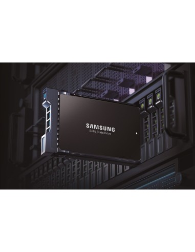 Samsung MZ-QL23T800 3,84 TB 2.5" PCI Express 4.0 NVMe V-NAND TLC