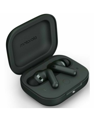 Motorola Moto Buds+ Cuffie Wireless In-ear Chiamate Musica Sport Tutti i giorni Bluetooth Grigio
