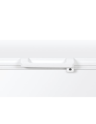 Haier HCE301E Congelatore a pozzo Libera installazione 300 L E Bianco