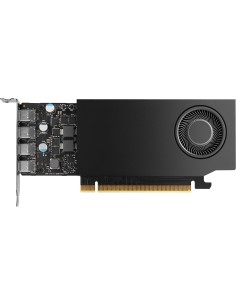 HP NVIDIA PH x1xxx 4mDP Graphics