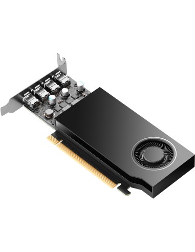 HP NVIDIA PH x1xxx 4mDP Graphics