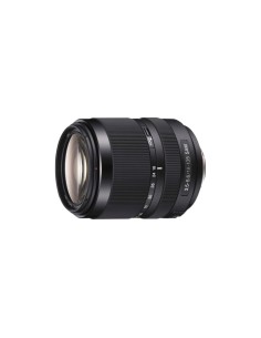 Sony SAL18135