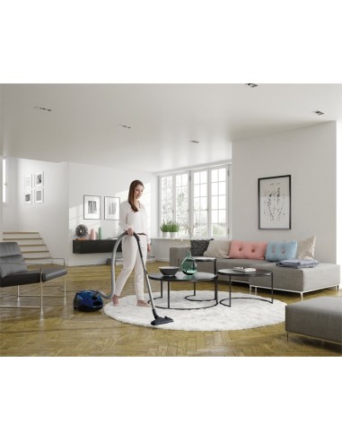 Electrolux EPF62IS 3,5 L A cilindro Secco 700 W Sacchetto per la polvere