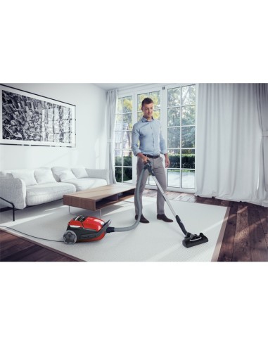 Electrolux EUO9ANIMAL 5 L A cilindro Secco 700 W Sacchetto per la polvere