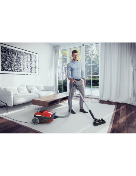 Electrolux EUO9ANIMAL 5 L A cilindro Secco 700 W Sacchetto per la polvere
