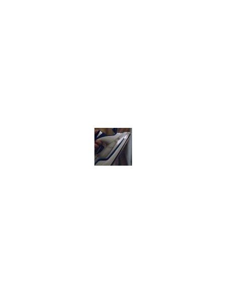 Electrolux EDB6120 ferro da stiro Ferro da stiro a secco e a vapore 2200 W Blu, Bianco