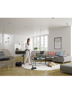 Electrolux ESP74GREEN 3,5 L A cilindro Secco 650 W Sacchetto per la polvere 2
