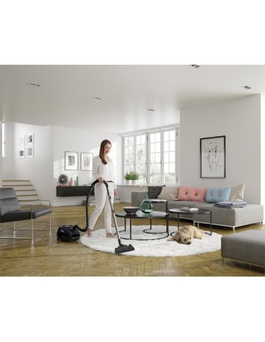 Electrolux ESP74GREEN 3,5 L A cilindro Secco 650 W Sacchetto per la polvere