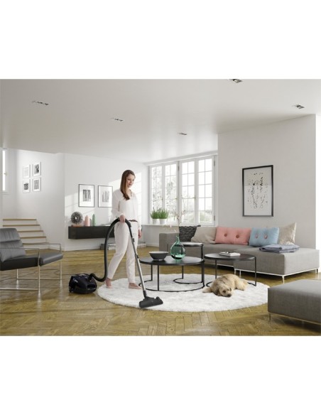 Electrolux ESP74GREEN 3,5 L A cilindro Secco 650 W Sacchetto per la polvere