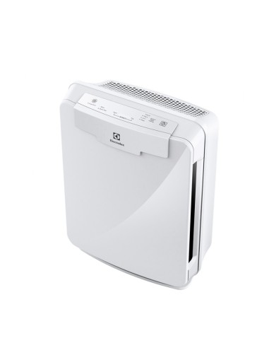 Electrolux HUB EAP150 filtro d'aria
