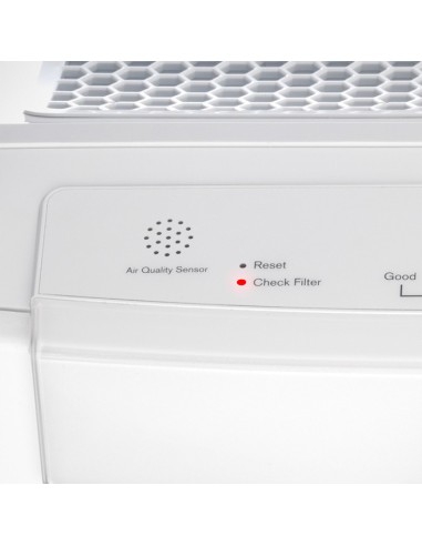 Electrolux HUB EAP150 filtro d'aria