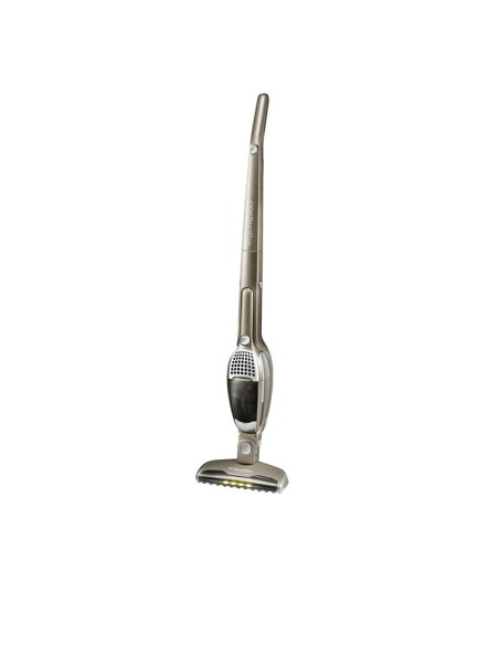 Electrolux ZB2901 Aspirapolvere a bastone 2 in 1 Secco Senza sacchetto Argento, Acciaio inox