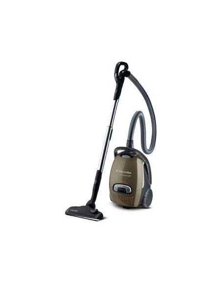 Electrolux Z8822GP 5 L A cilindro Secco 2200 W Sacchetto per la polvere