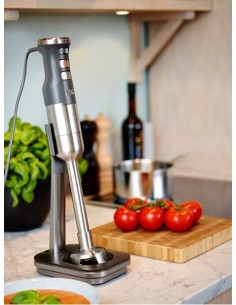 Electrolux ESTM9500 Frullatore ad immersione 700 W Argento 2
