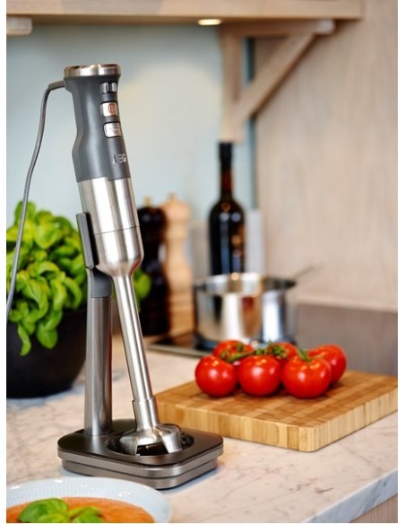 Electrolux ESTM9500 Frullatore ad immersione 700 W Argento