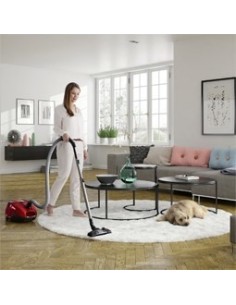 Electrolux ZSPPARKETT 3,5 L A cilindro 700 W Sacchetto per la polvere 2