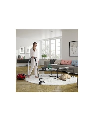 Electrolux ZSPPARKETT 3,5 L A cilindro 700 W Sacchetto per la polvere