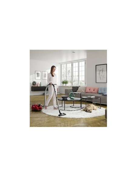 Electrolux ZSPPARKETT 3,5 L A cilindro 700 W Sacchetto per la polvere