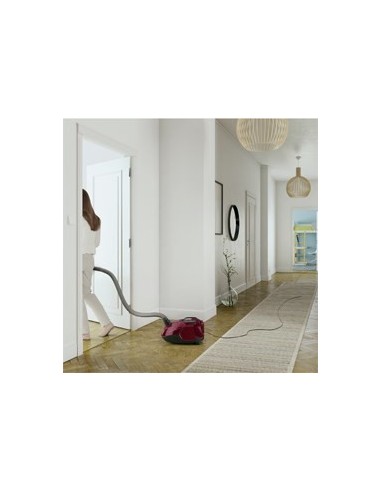 Electrolux ZSPPARKETT 3,5 L A cilindro 700 W Sacchetto per la polvere
