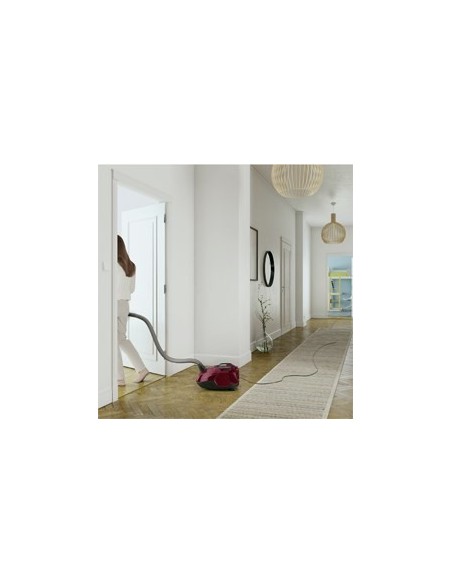 Electrolux ZSPPARKETT 3,5 L A cilindro 700 W Sacchetto per la polvere