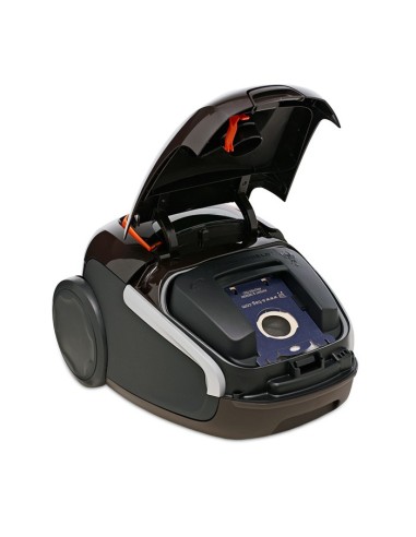 Electrolux ZUSALLFLR+ 3,5 L A cilindro Secco 700 W Sacchetto per la polvere